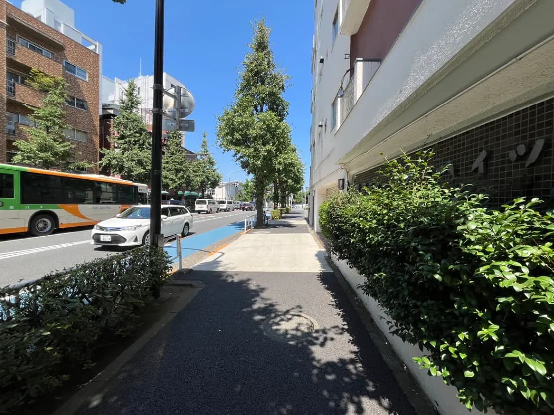 - 都市の歩道、緑豊かな植栽と青空の下、通行する車両とバスが行き交う風景