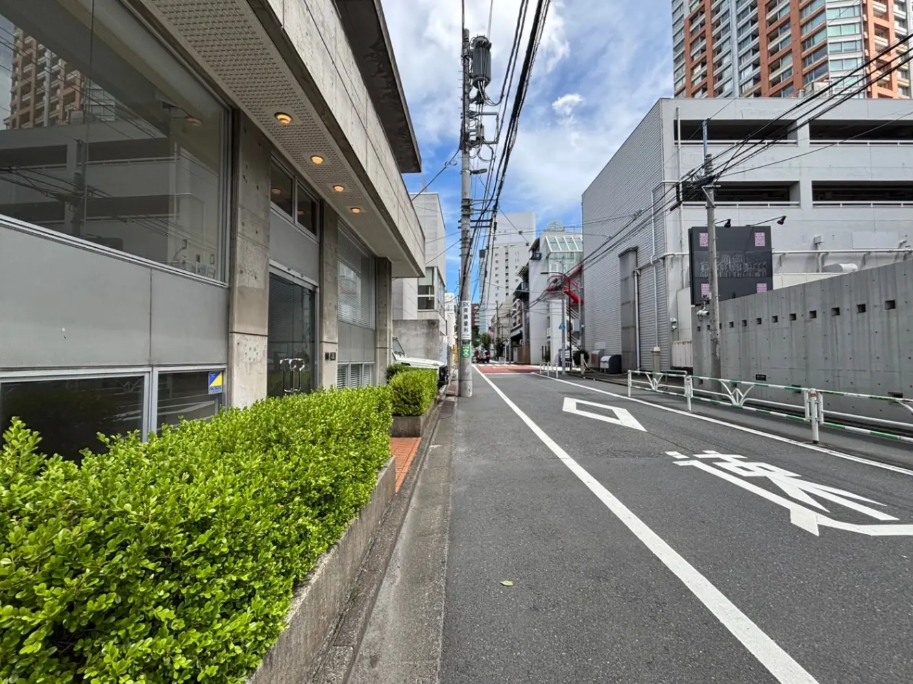 - コンクリートの建物が並ぶ都市の通り、緑の植栽が配置された歩道と青空の下の風景