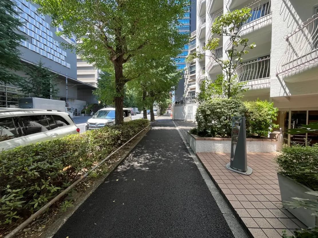 - 緑豊かな歩道と周囲のビル、植え込みと車が並ぶ通りの景色、夏の日差しを受けている都市の風景