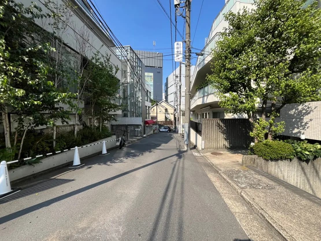 - 明るい青空の下、住宅街の狭い道路、左側に緑の植栽がある街並みと白いコーンが並ぶ風景
