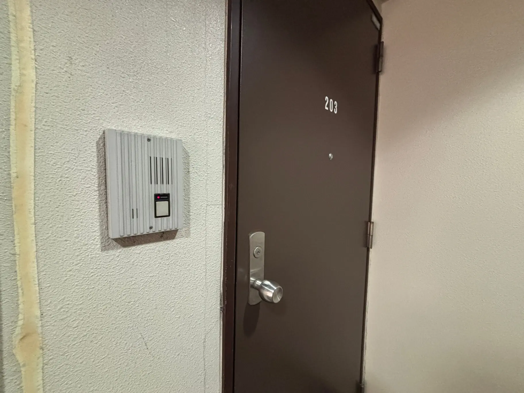 - 部屋番号203の玄関ドア、隣にインターホンが設置されている壁の一部、シンプルなデザインのインテリア