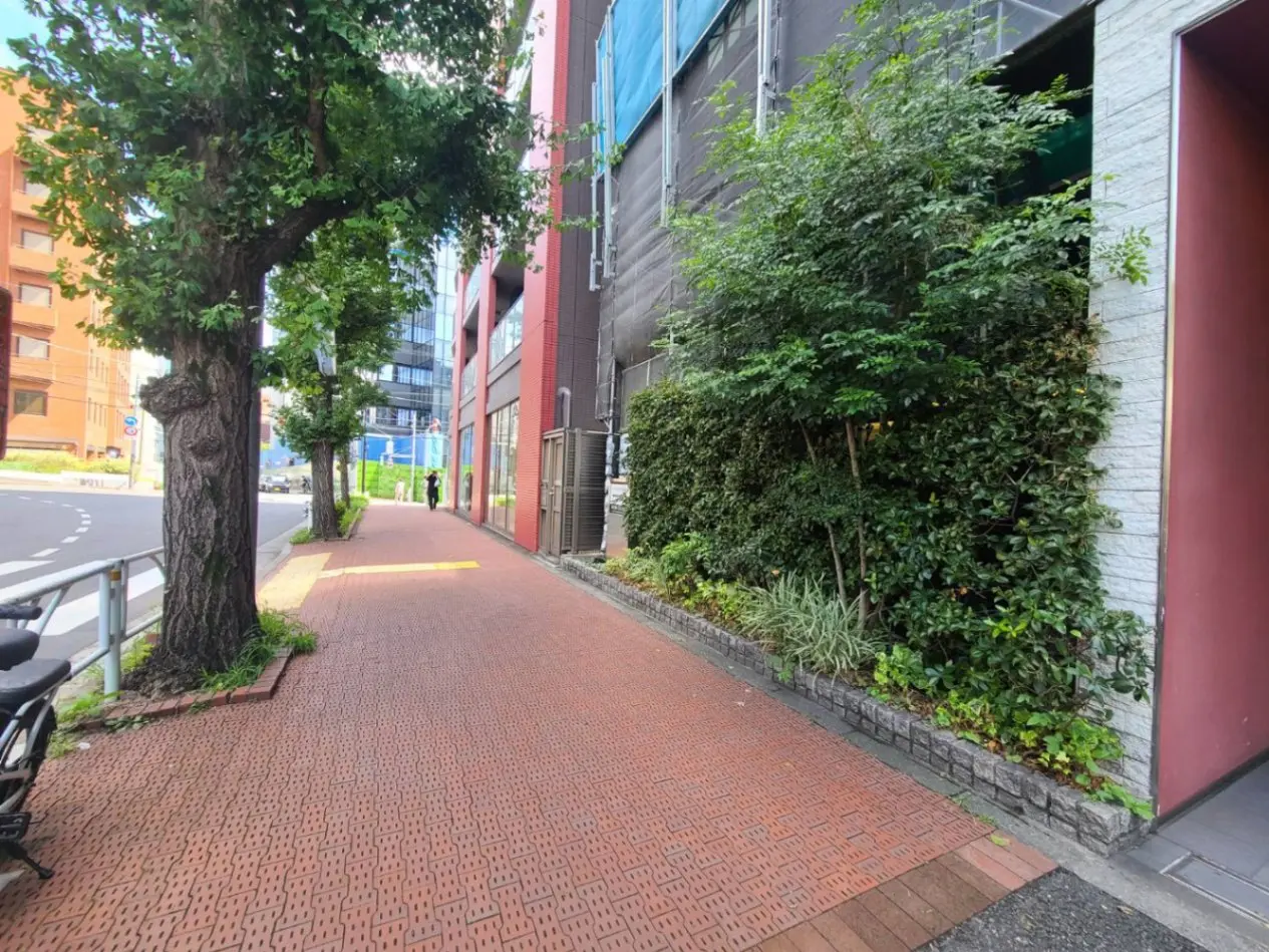- 緑地と並木のある都市の歩道、レンガ敷きの道沿いに自転車が停まっている風景