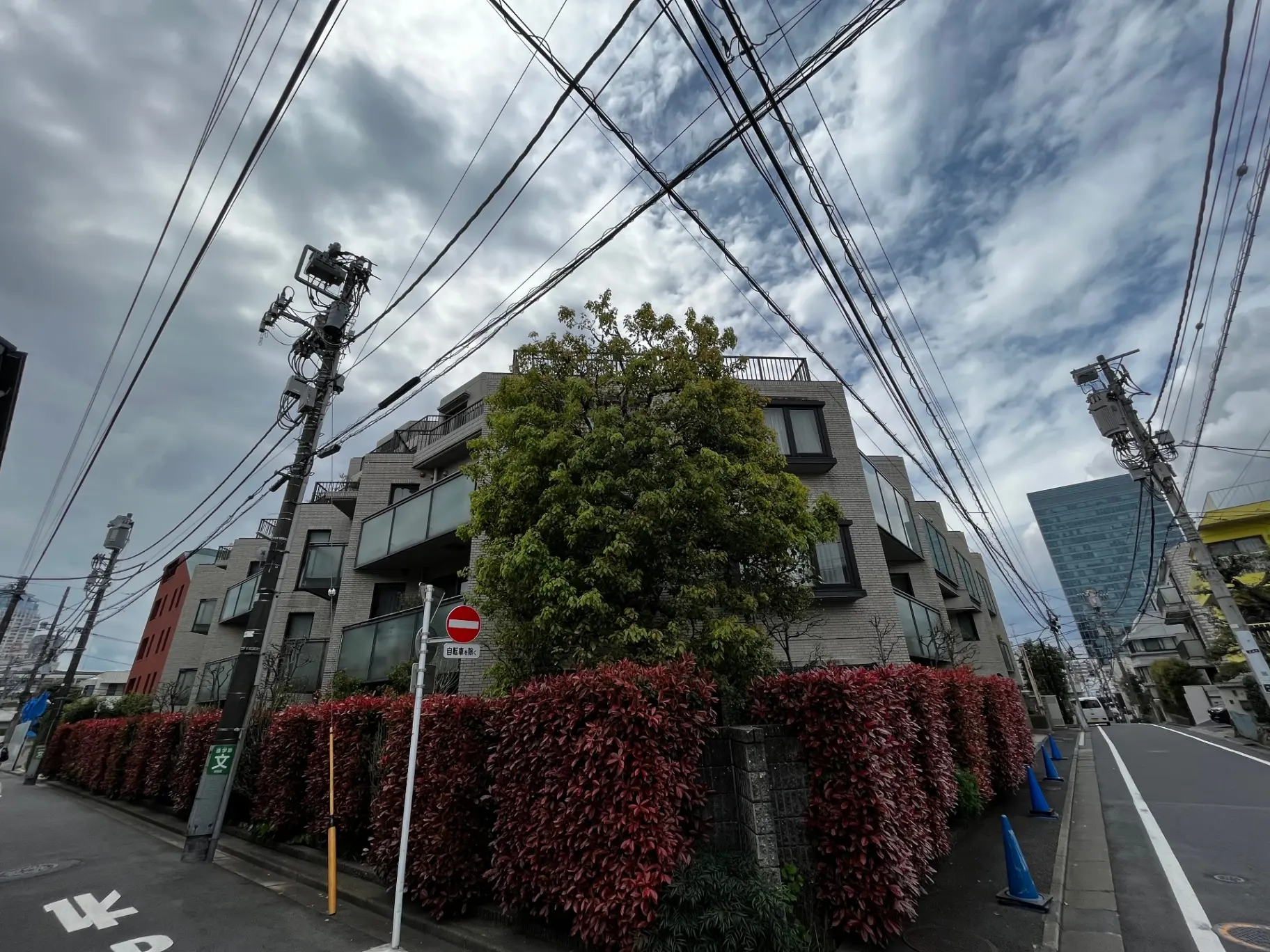 都市の風景、電信柱と配電線、赤い植物の生垣、近代的なビルと住宅