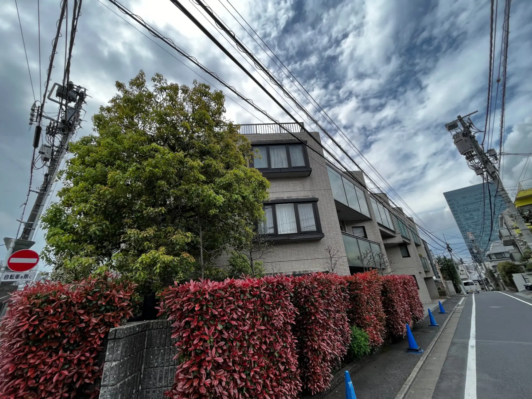 都市の住宅街の通り、電線が張り巡らされた建物、赤と緑の植物がある生垣