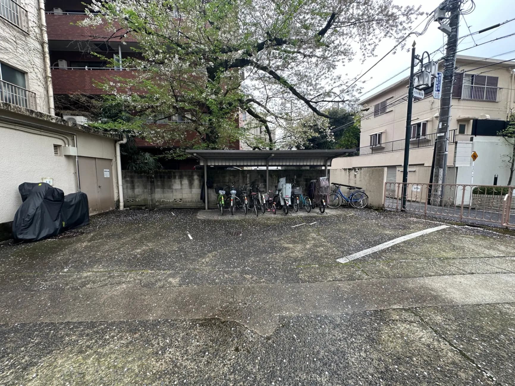桜の花びらが舞う駐輪場、アパートのエントランス、自転車が並ぶ風景