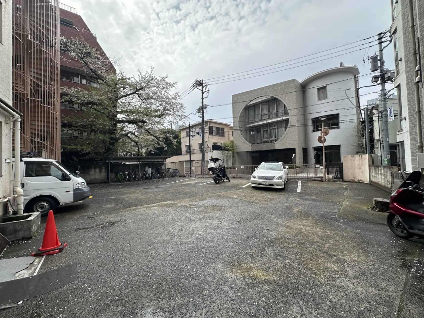 都市の駐車場、道路に散乱した桜の花びら、周囲に建物と車、雲がかかった空
