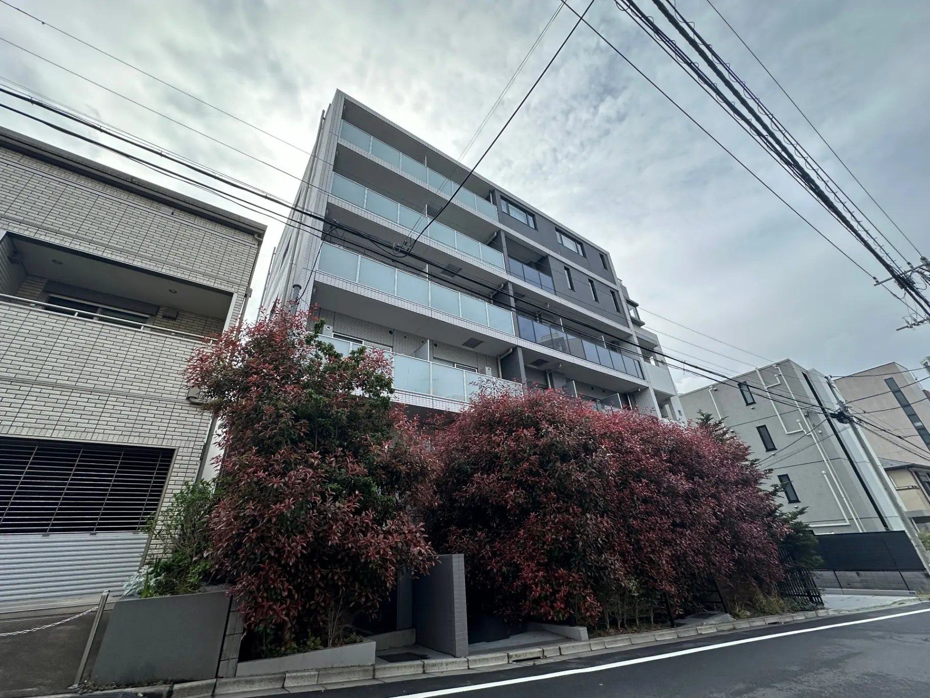 モダンな外観の都市型マンション、赤みがかった植栽と電線が見える景観