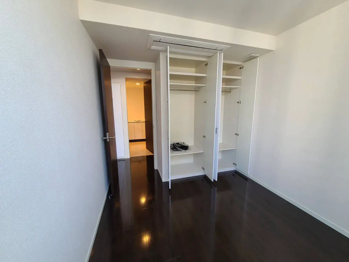 広々としたクローゼットが特徴の洋室