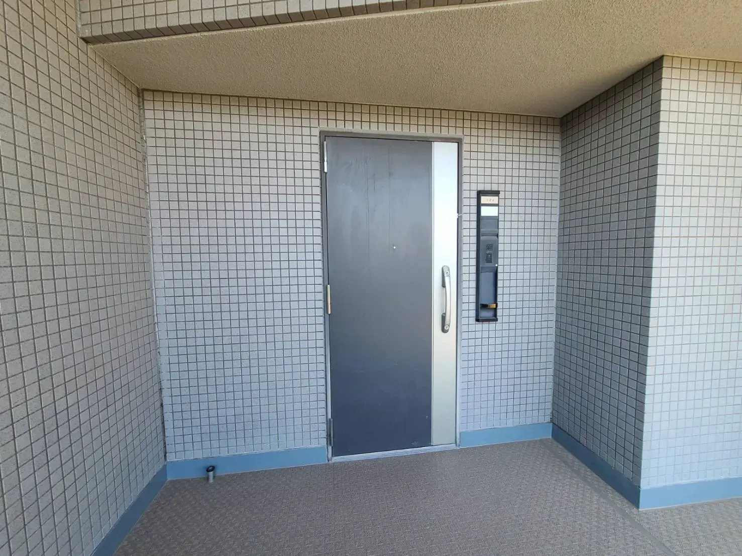 アパートメント入口ドア、タイル壁、インターホンシステム付きのセキュアなエントランス