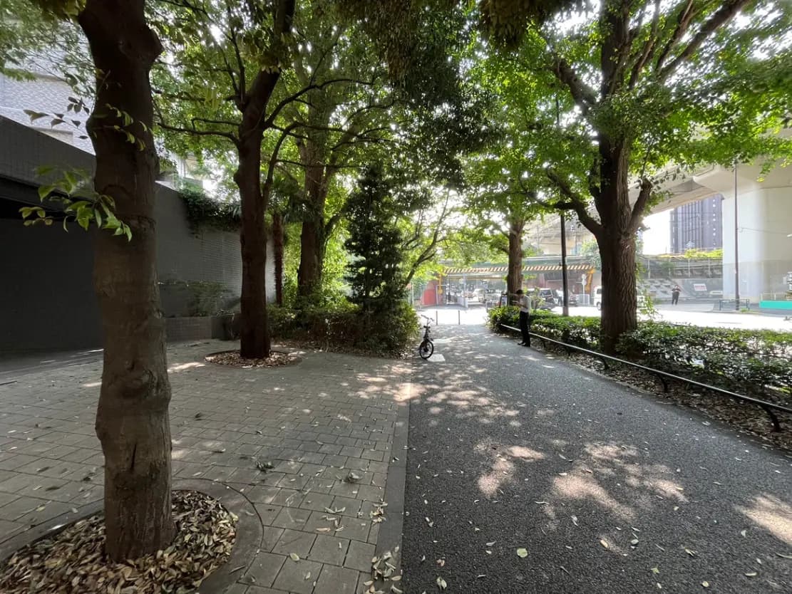 - 緑豊かな公園の遊歩道、周囲に木々が立ち並び、日差しが差し込む落ち着いた風景と散歩する人々。