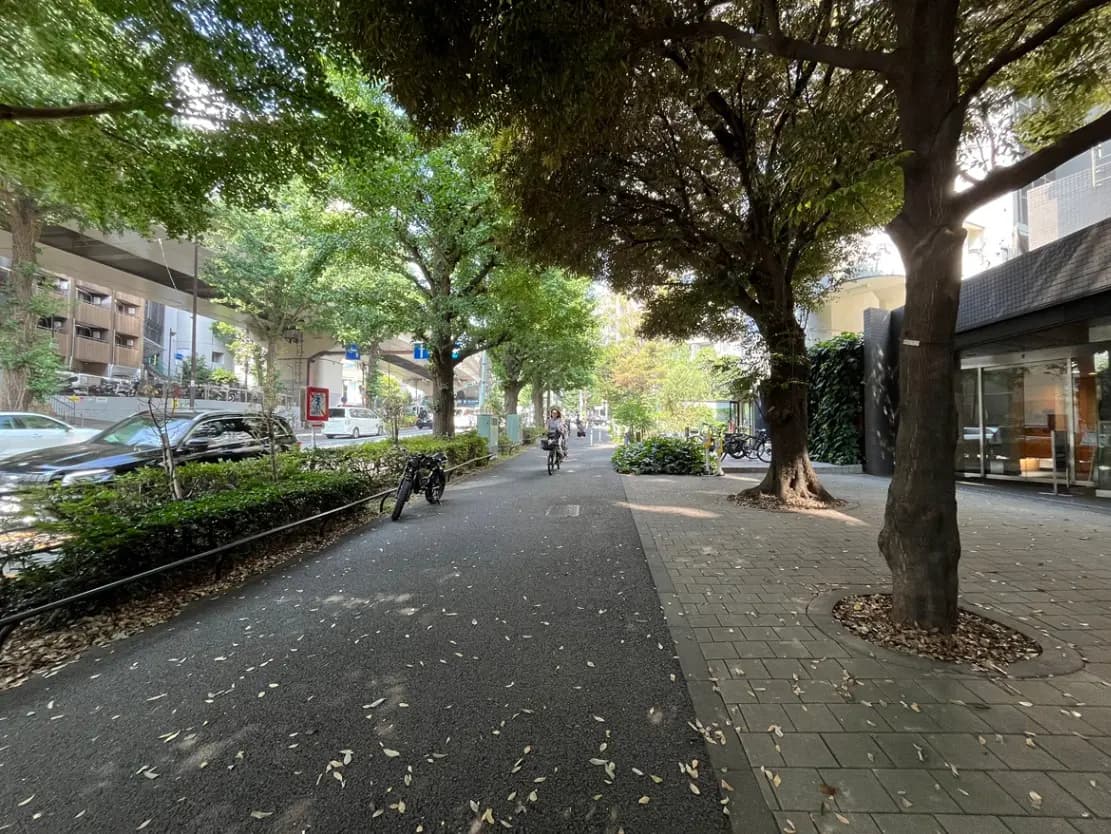 - 緑豊かな街並み、舗装された自転車道と街路樹、車や自転車が行き交う風景