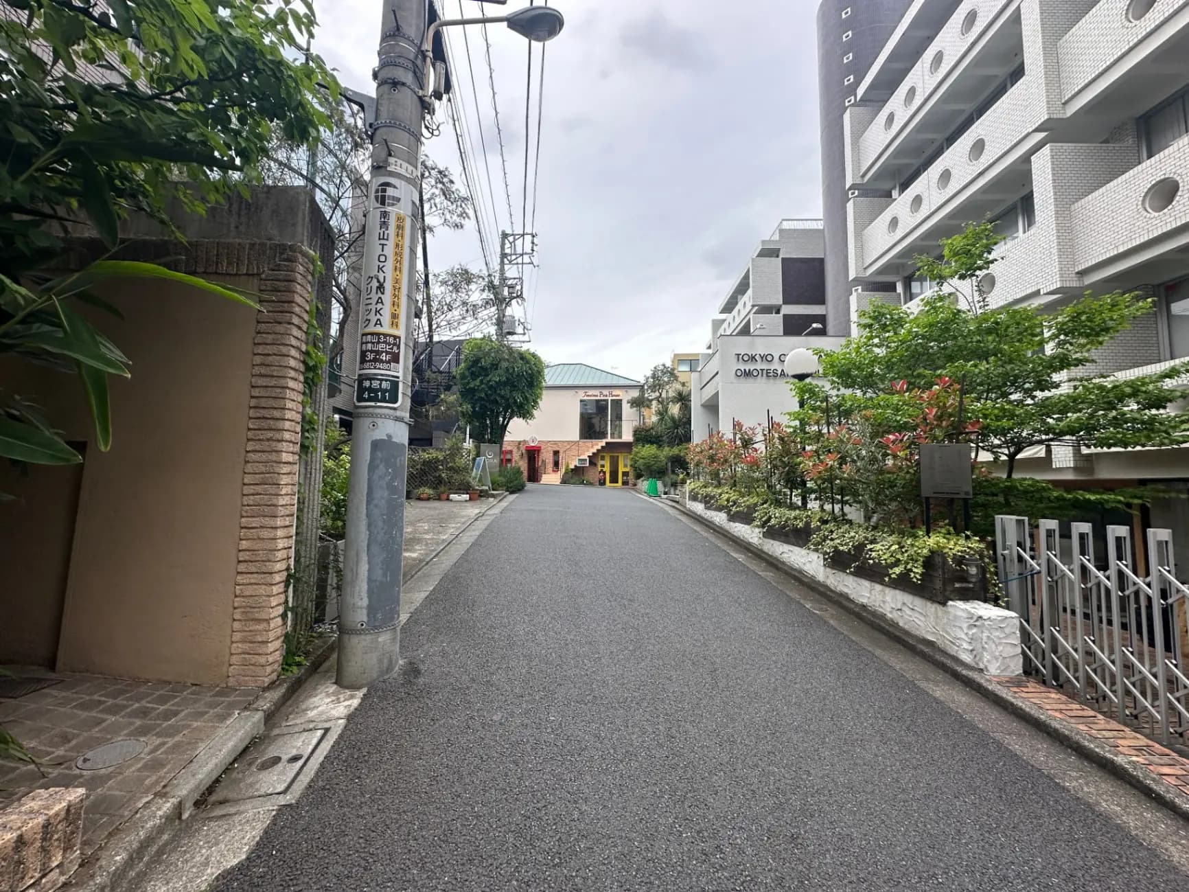 東京表参道の閑静な住宅街の通り、左側に植栽とアパートメント、右側に塀と緑豊かな樹木