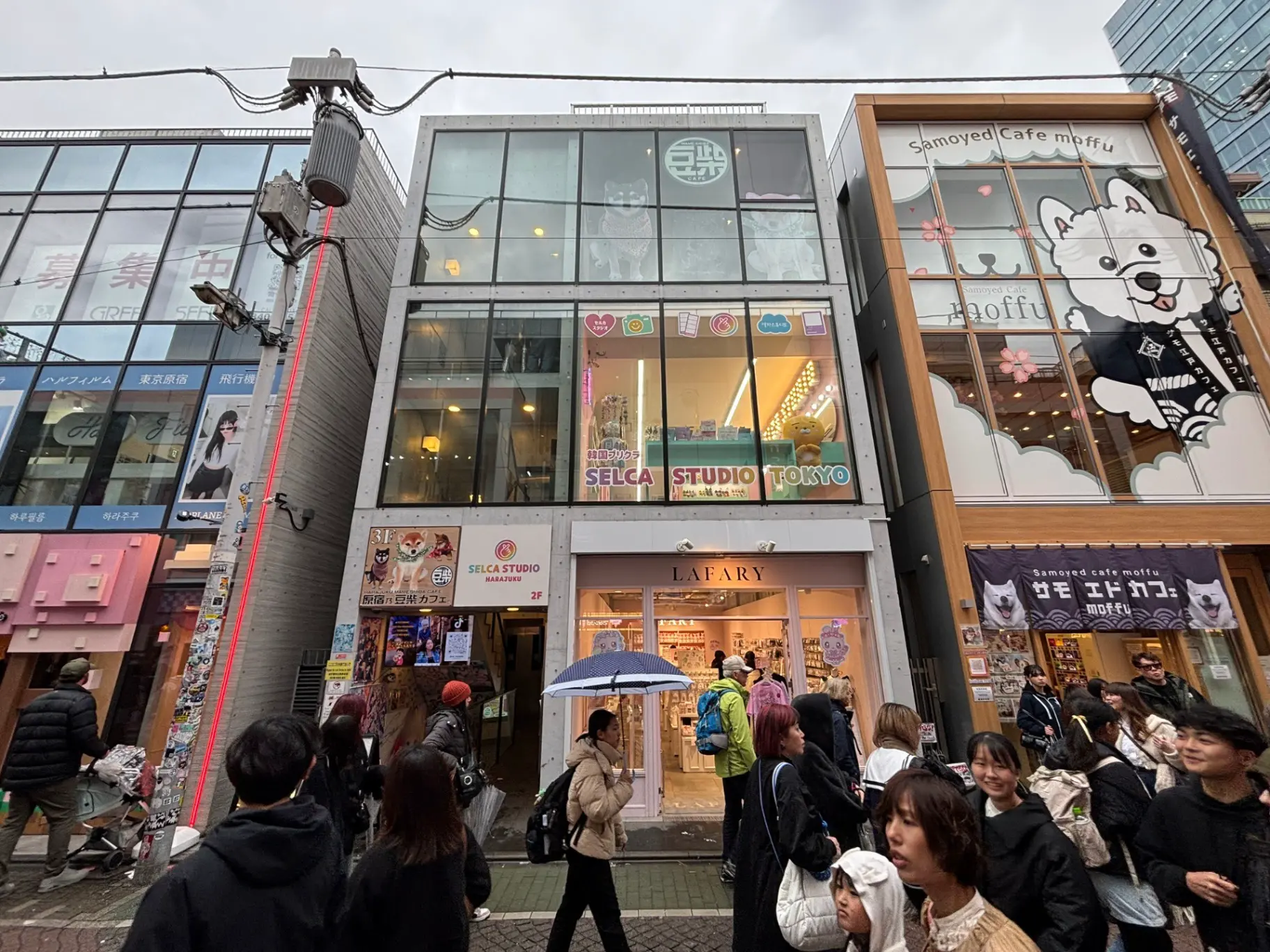 - 東京・原宿の賑やかな街並みに位置する「SELCA STUDIO」と「Samoyed Cafe moffu」の外観、観光客で賑わうショッピングエリア