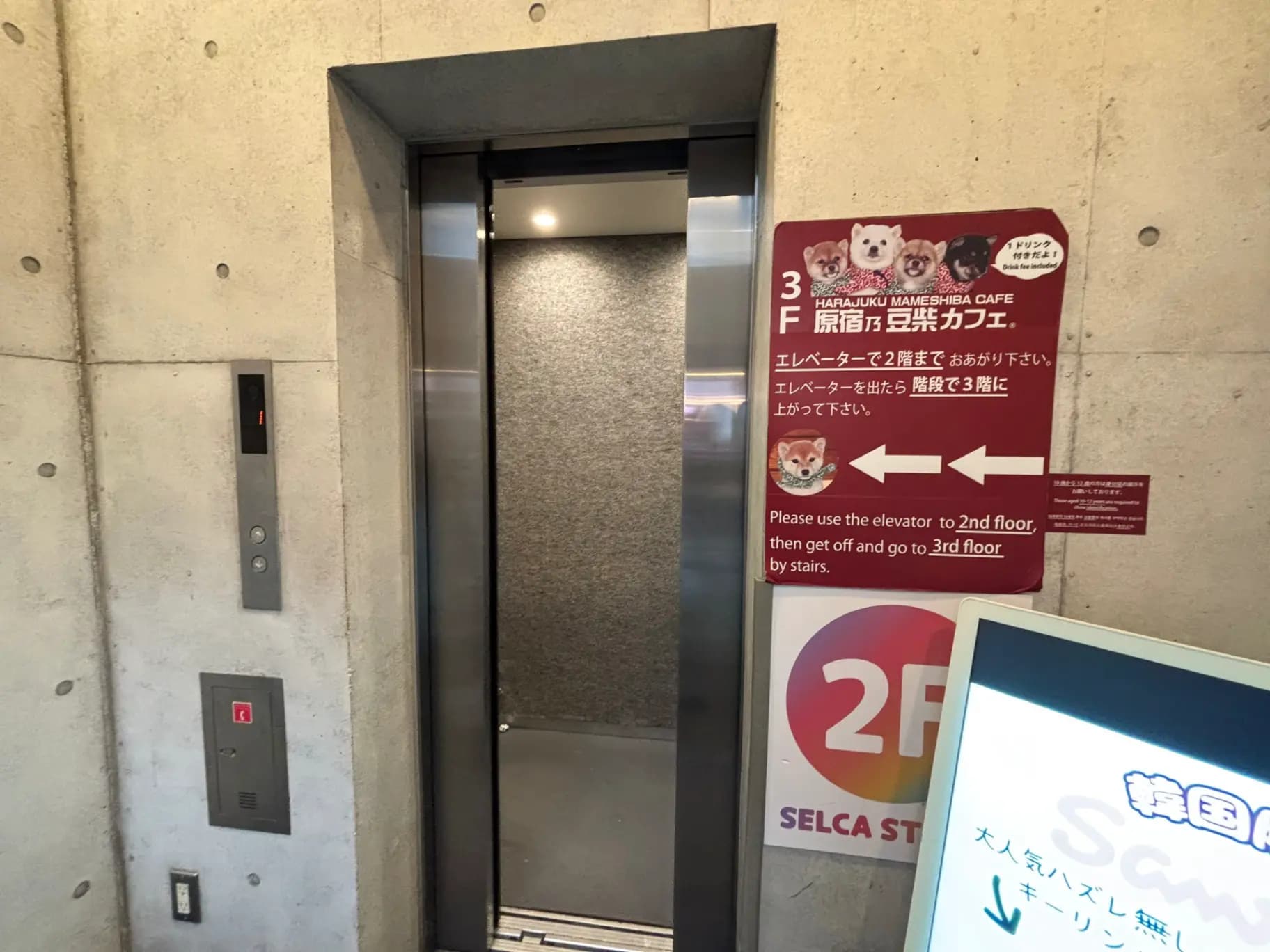 - 原宿の豆柴カフェへの行き方を示すエレベーターと案内板、コンクリートの壁と明るい照明がある空間