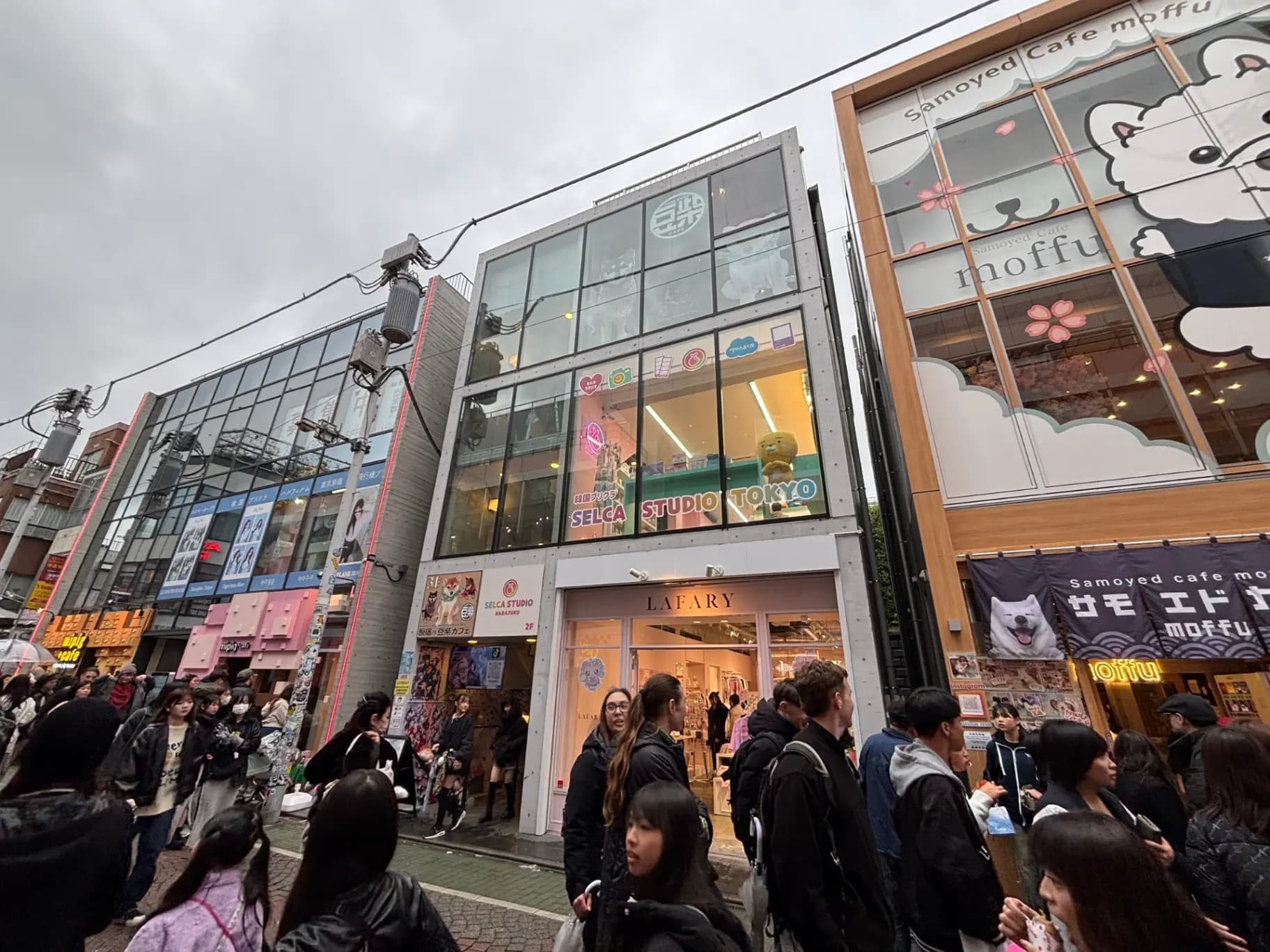 - 賑やかな街並みの中に立つモダンな建物、SELCA STUDIO TOKYOやSamoyed Cafe moffuなどの店舗が見える風景