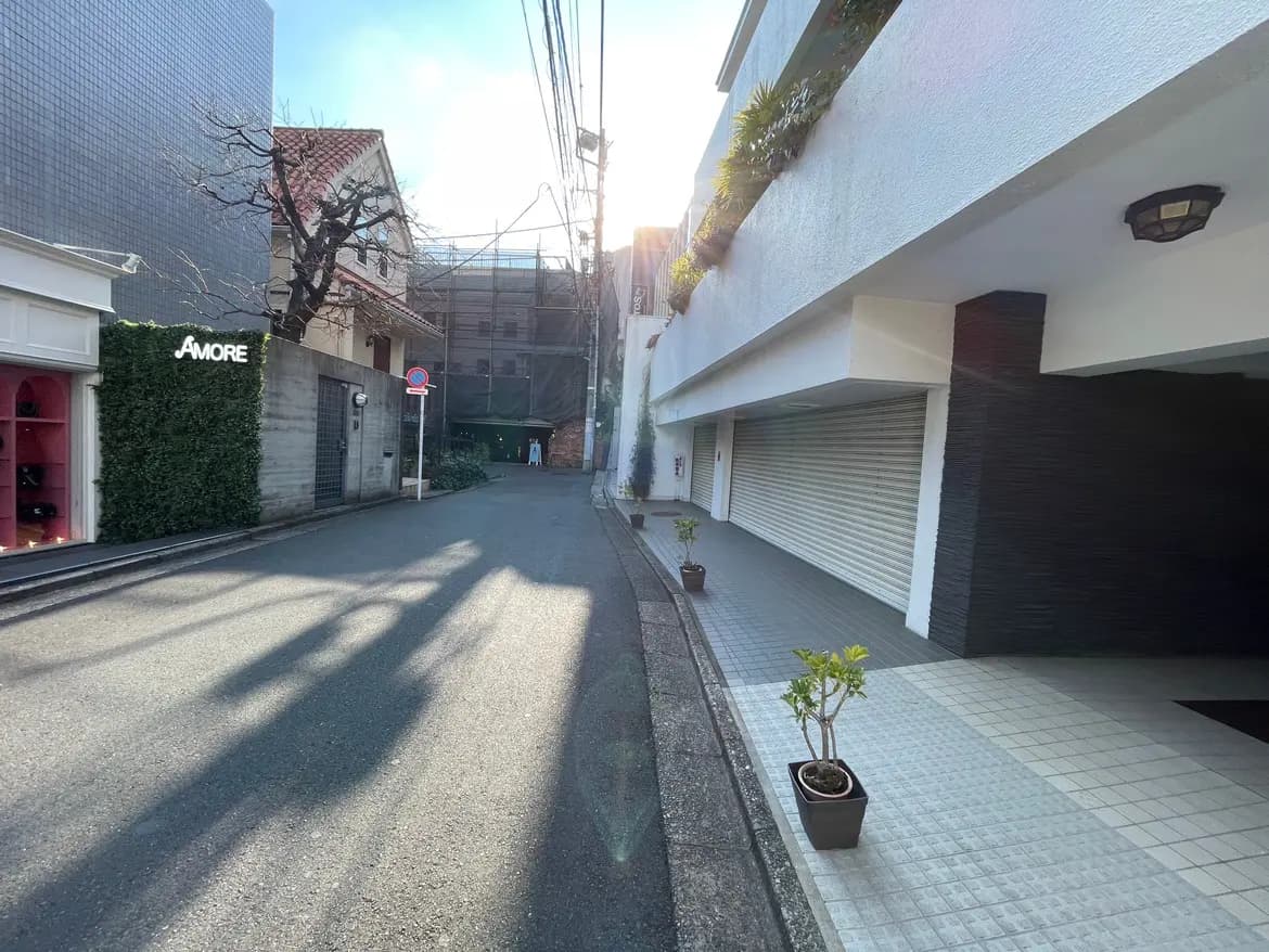 都会的な閑静な住宅街の道、シャッター付きの建物と植物のある舗道