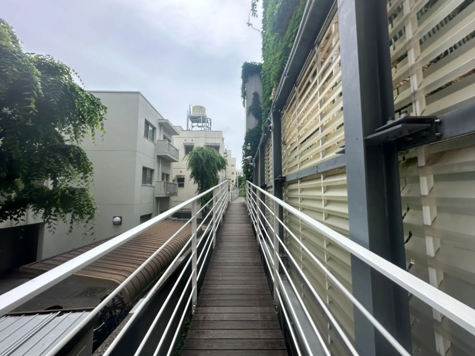 都市の屋外通路と建物、手すり付き歩道、緑が茂るフェンス