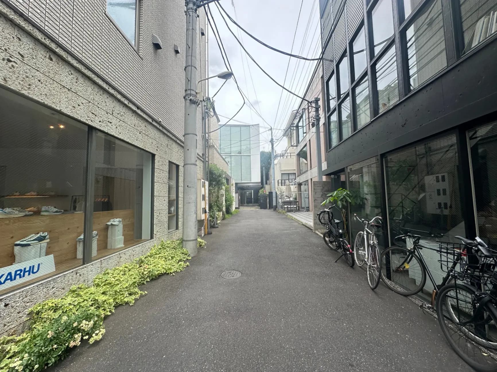 現代的な建物と緑が共存する都市の小道、駐輪場所と歩行者路