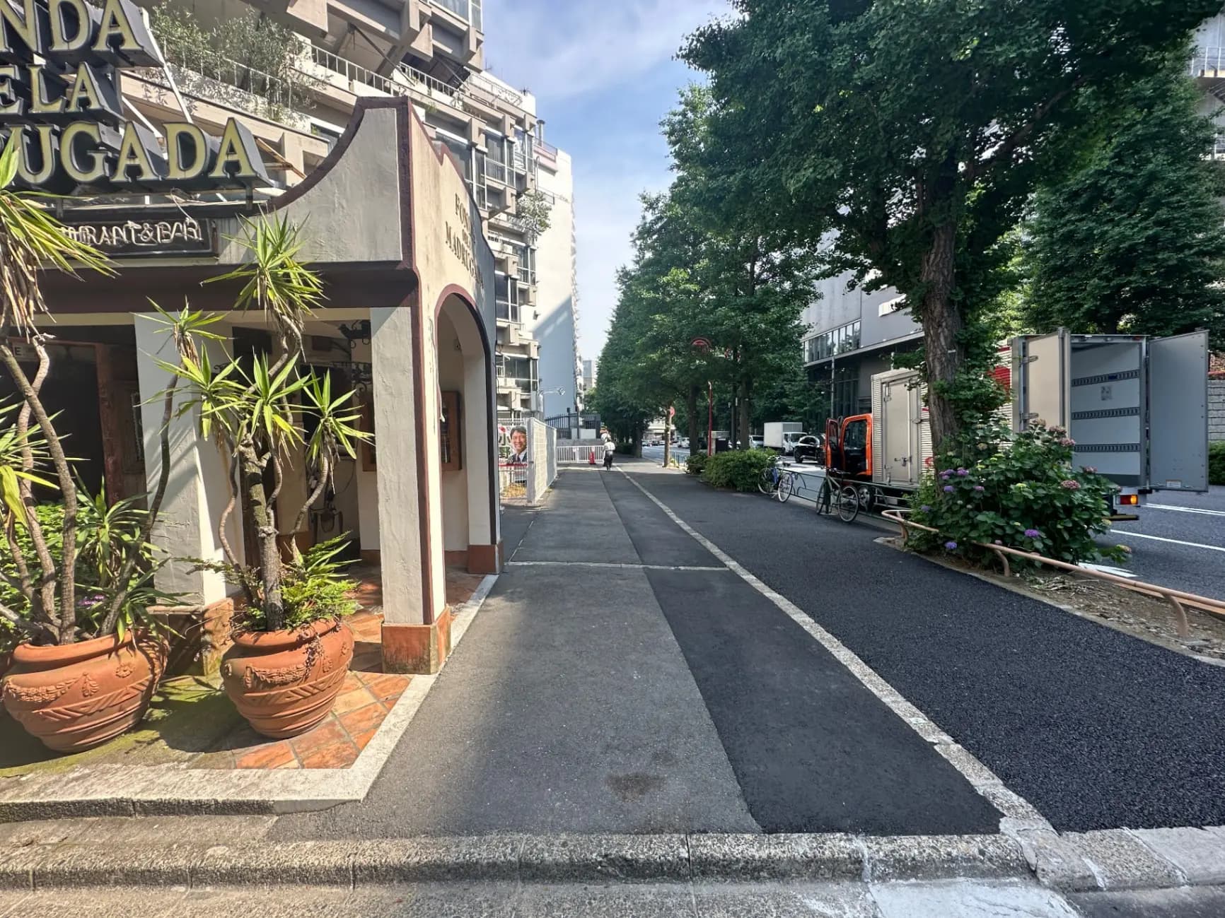 都市の景観、日当たりの良い道路、樹木、街路樹、レストランの入り口