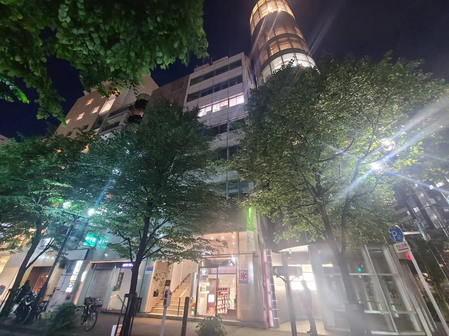 夜景と緑の木々が共存する都会の風景、照明が灯るビルと清潔な歩道