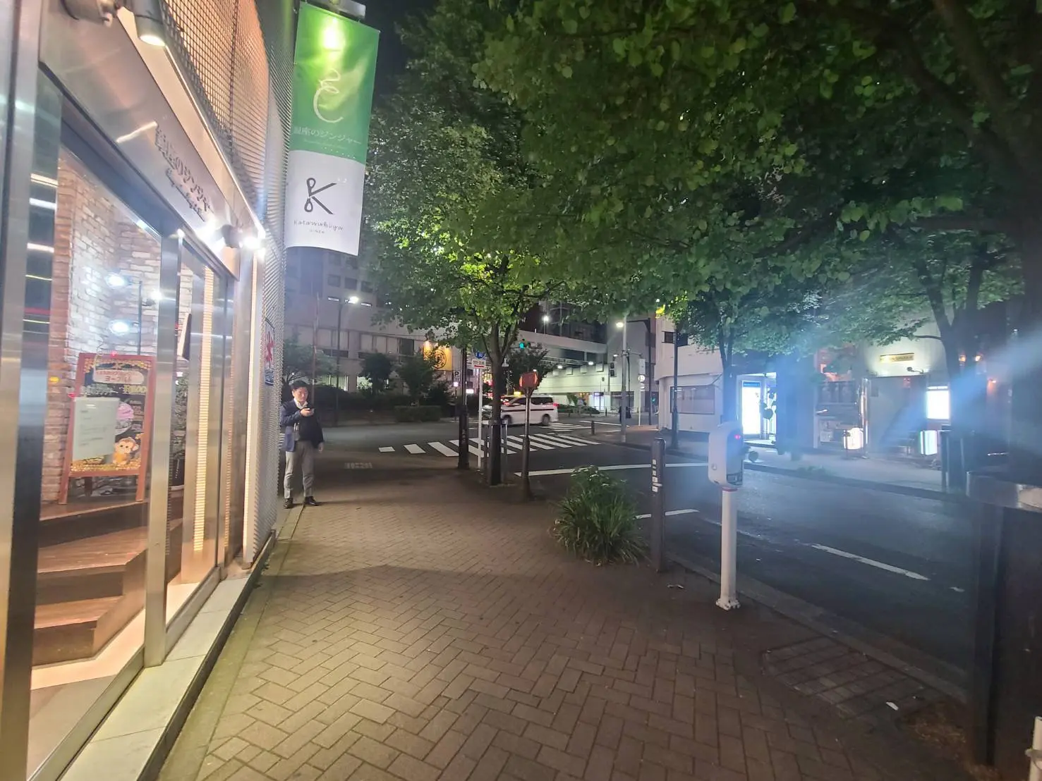 夜の街角、街路樹に照らされる歩道と店舗の外観、都会の夜景