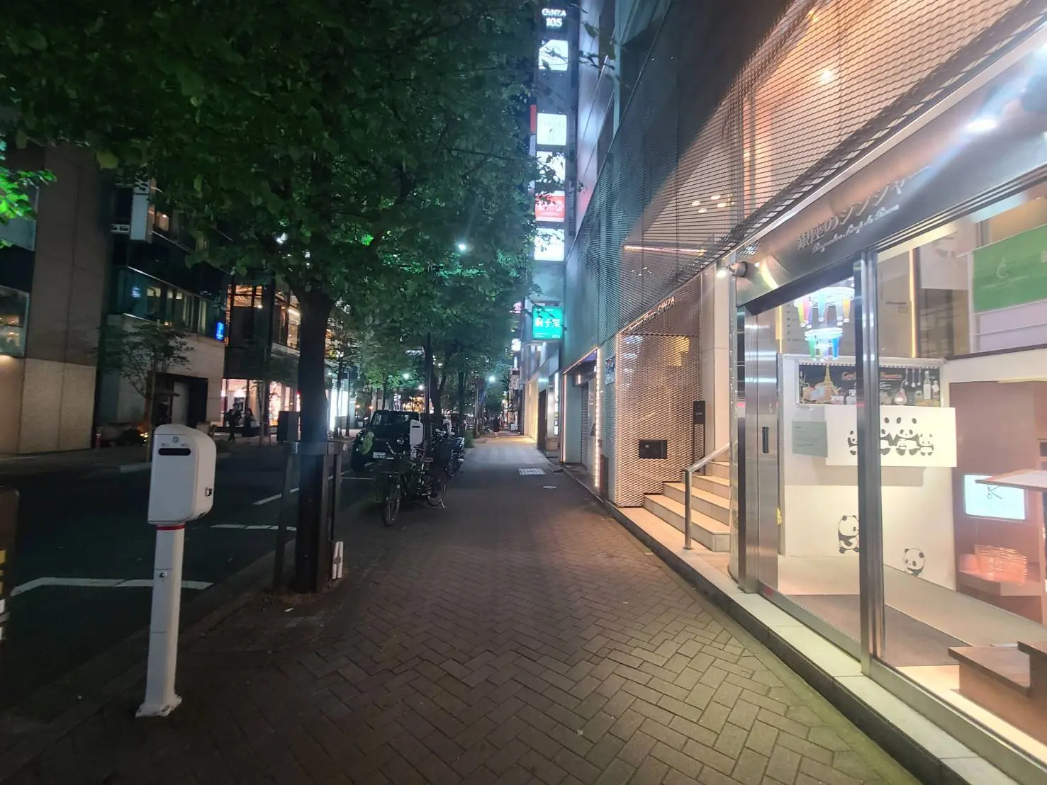 夜の街並み、緑豊かな木々と商店の照明、歩行者の通りが静かな都市景観