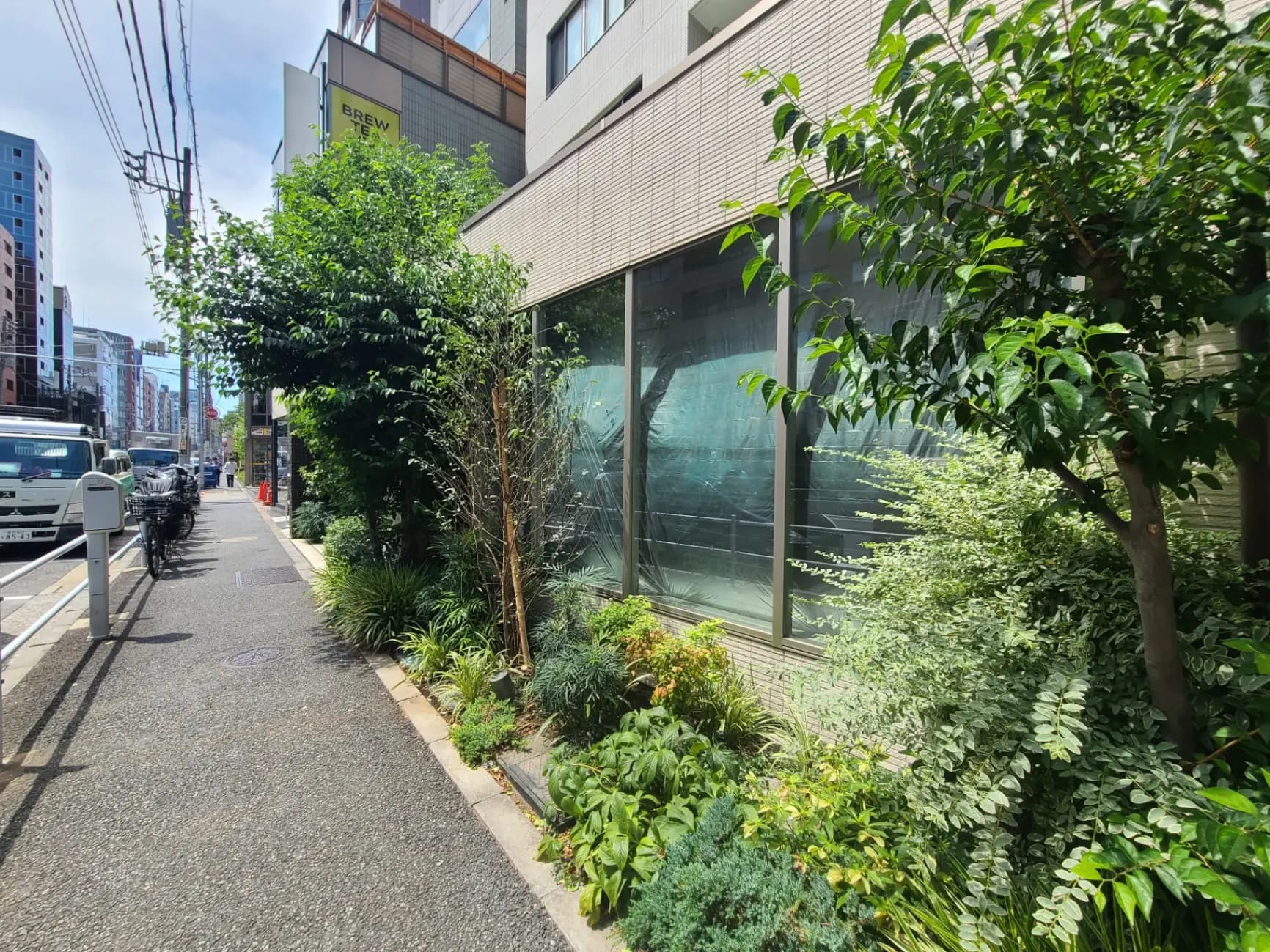 緑豊かな植物が並ぶ都市の通り、快晴の日の歩道と建物の外観