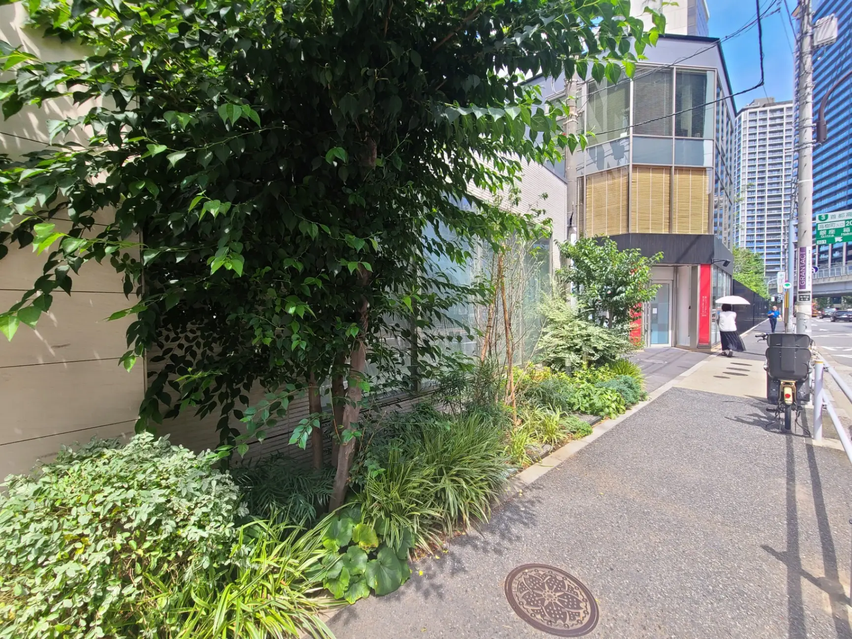 都会の緑豊かな歩道、モダンな建物の外観と清潔な街路、日差しが降り注ぐシーン