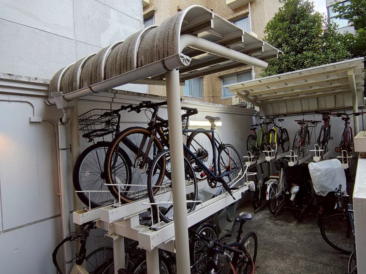 - 自転車置き場、屋根付きのラックに整然と収納された多様な自転車、近くに植栽がある風景