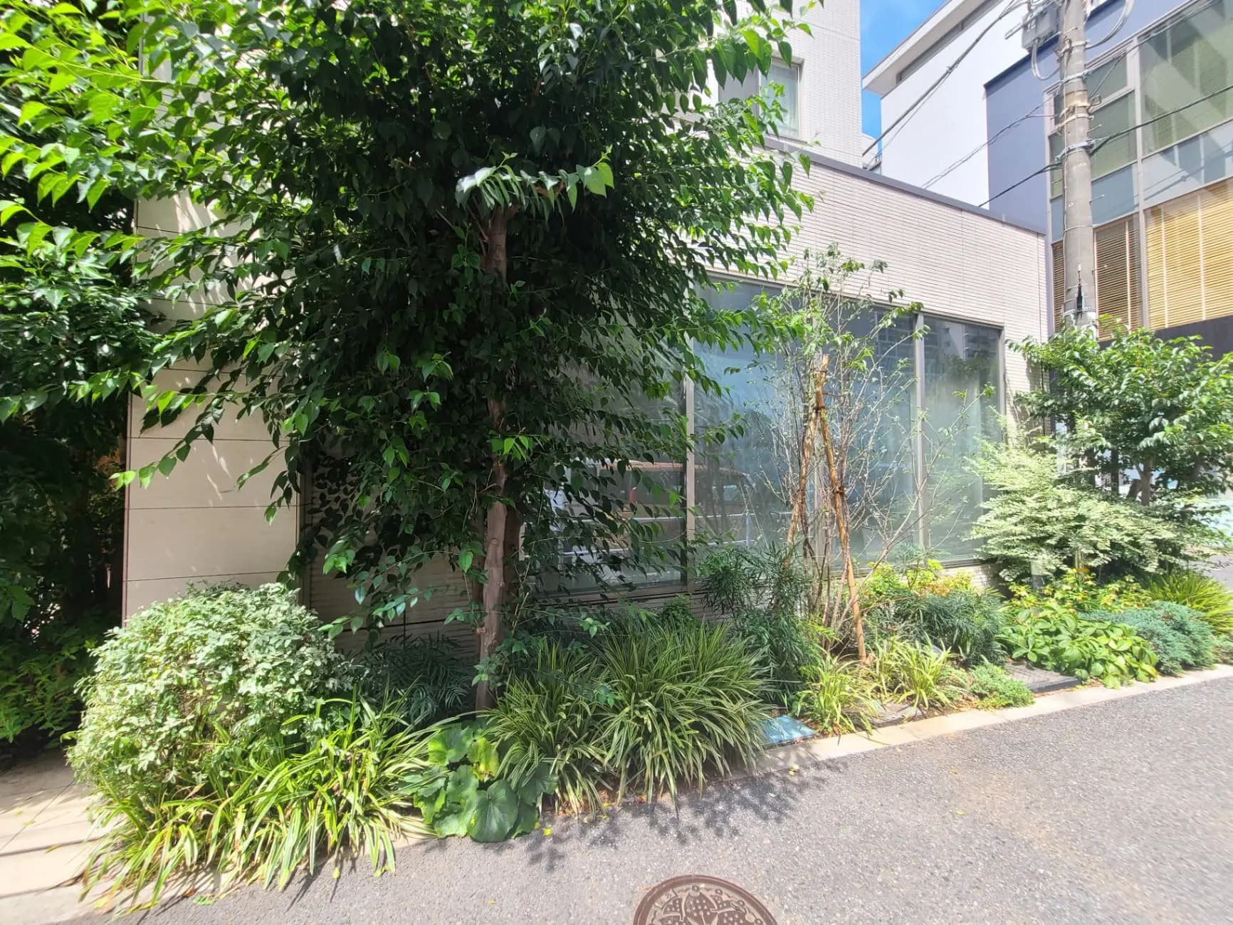 建物前の緑豊かな植栽、自然光が差し込む快適な都市風景