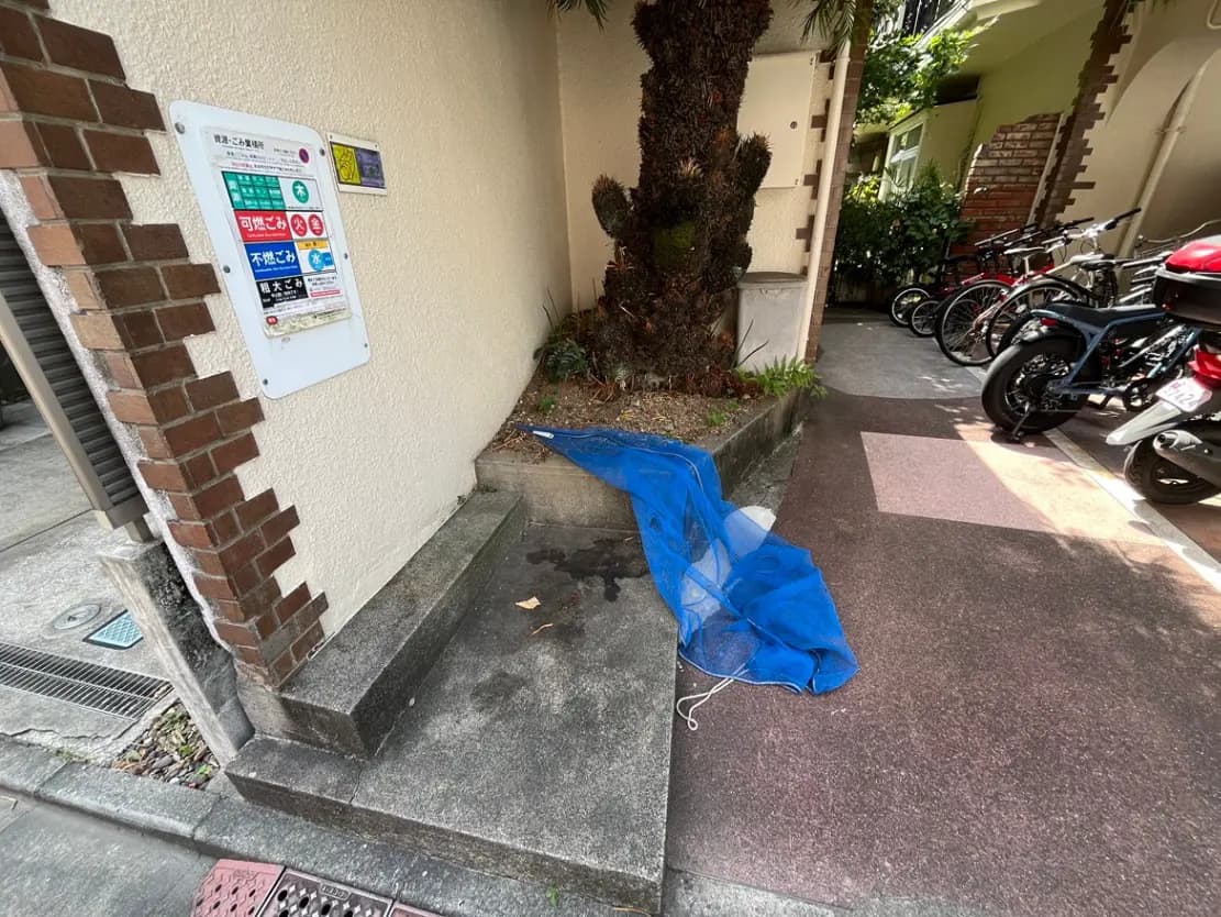 - 建物の入り口付近に置かれた青いネットと周囲の景観、隣接する自転車と壁面の案内板が見える風景
