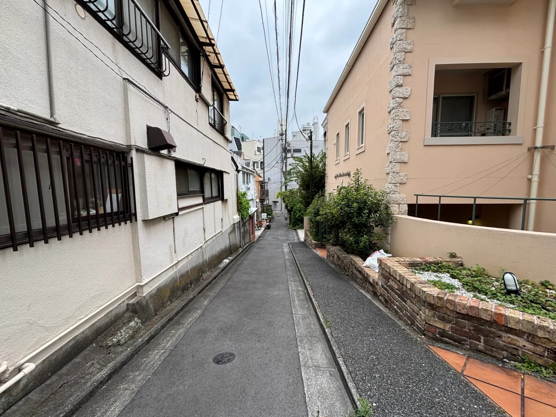 狭い路地に沿った二つの建物、建物の壁に窓が並び、緑の植物やブロック塀が見える街並みの景色