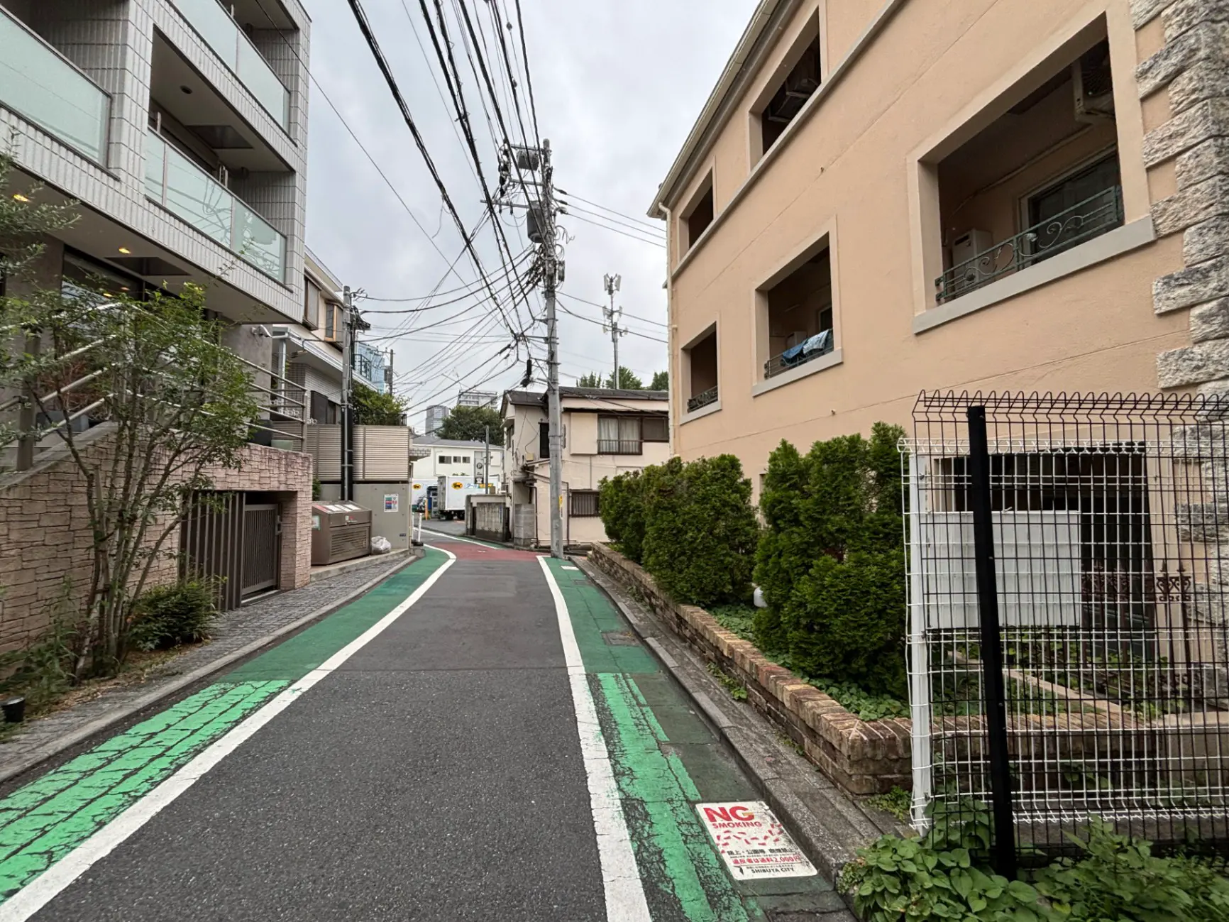 - 東京の住宅街の狭い道、緑の自転車専用レーンと周囲の建物、曇り空の下の風景