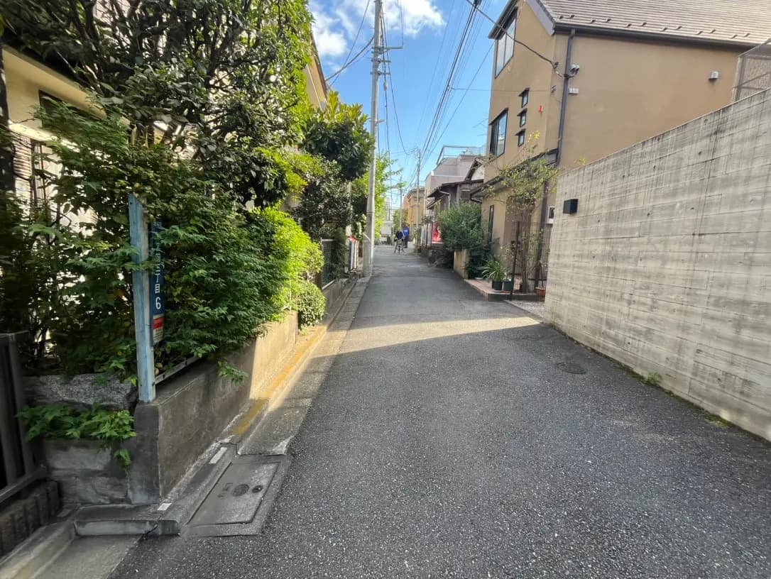 日本の住宅街の狭い路地、植栽と家並み、晴れた日の光景