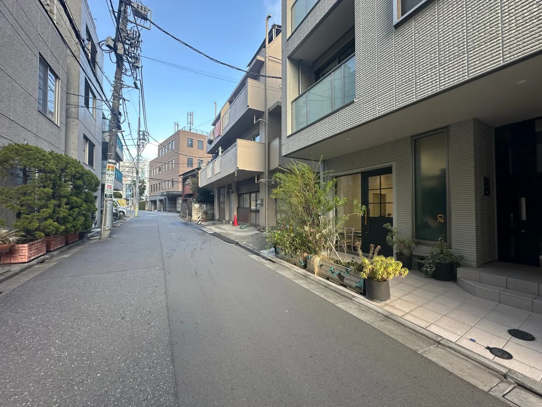 静かな住宅街の通り、近代的な建築と緑豊かな植栽が並ぶ風景