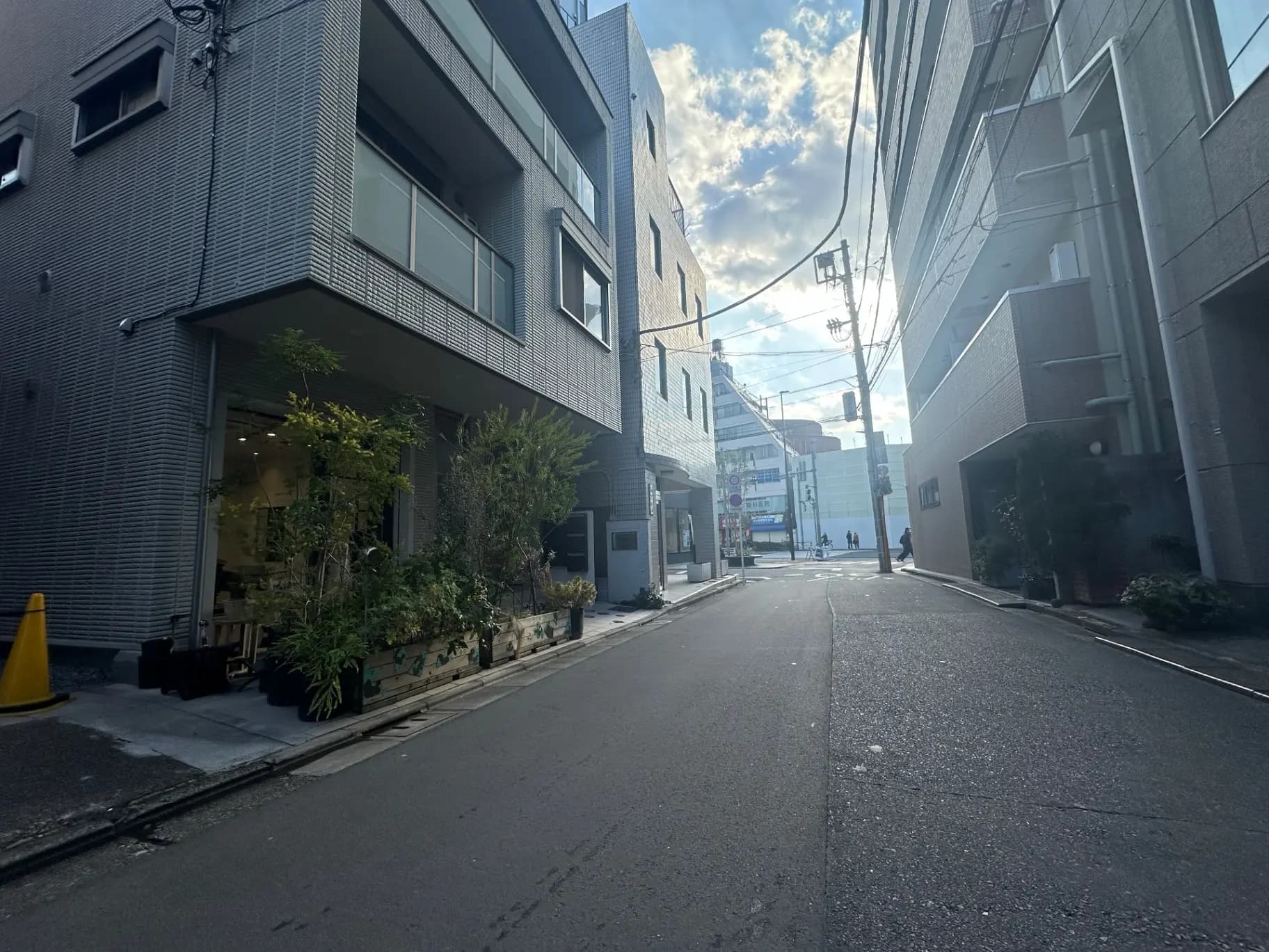 静かな都市の通り、モダンな建物、植物が並んだ店舗の外観、晴れた日の道路