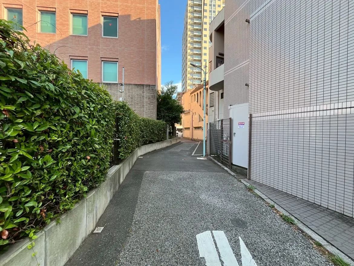 - 都市の裏道、緑の生垣に囲まれた狭い通り、隣接するビルの外観と青空が見える景観